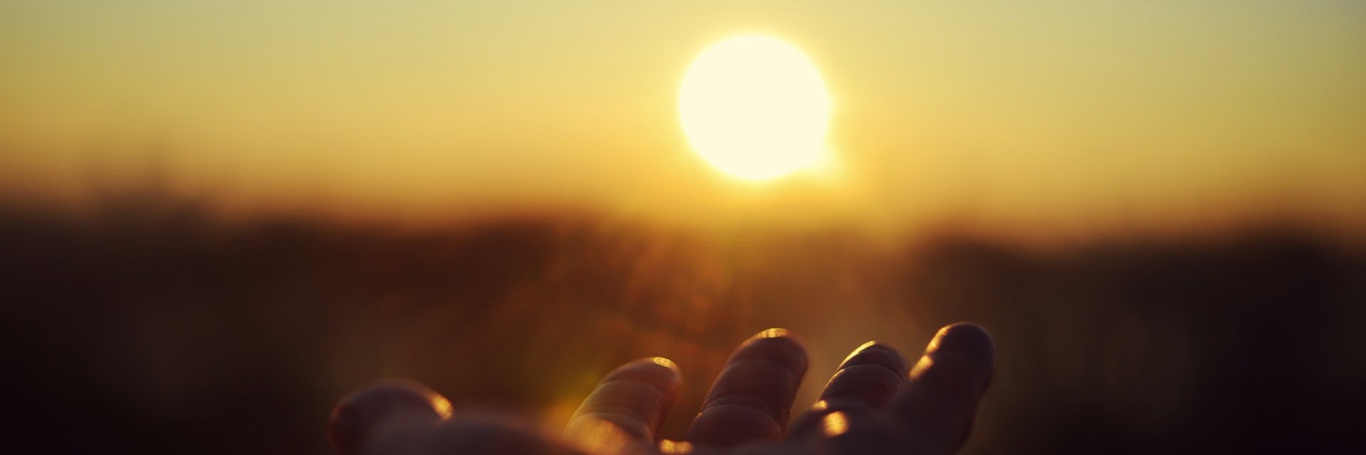 Eloquent Tables v1.0.0 Released splash image